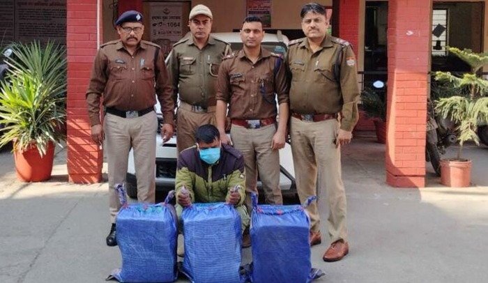 60 किलो गांजे के साथ सपेरा गैंग का सदस्य गिरफ्तार 60 किलो गांजे के साथ सपेरा गैंग का सदस्य गिरफ्तार