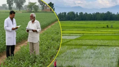Uttarakhand News: उत्तराखंड में विकसित कृषि संकल्प अभियान के तहत किसानों को किया जा रहा जागरूक, वैज्ञानिक खेती को मिलेगा बढ़ावा…