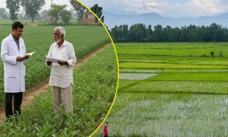 Uttarakhand News: उत्तराखंड में विकसित कृषि संकल्प अभियान के तहत किसानों को किया जा रहा जागरूक, वैज्ञानिक खेती को मिलेगा बढ़ावा… Uttarakhand News: उत्तराखंड में विकसित कृषि संकल्प अभियान के तहत किसानों को किया जा रहा जागरूक, वैज्ञानिक खेती को मिलेगा बढ़ावा…