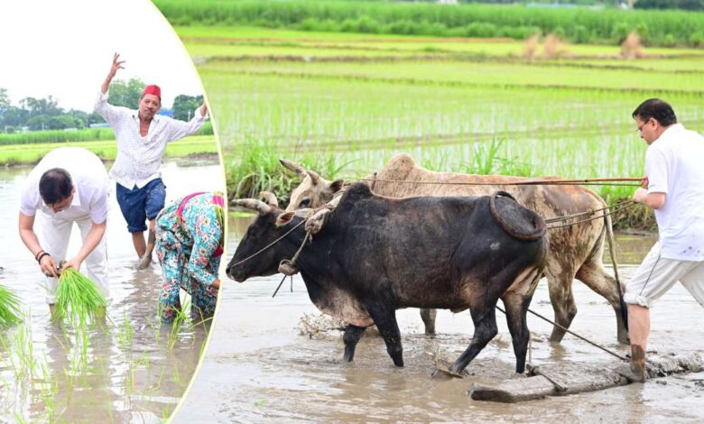 Uttarakhand News: सीएम धामी ने खेत में की धान रोपाई, किसानों के परिश्रम को किया नमन, बोले– अन्नदाता हमारी संस्कृति और अर्थव्यवस्था की रीढ़… Uttarakhand News: सीएम धामी ने खेत में की धान रोपाई, किसानों के परिश्रम को किया नमन, बोले– अन्नदाता हमारी संस्कृति और अर्थव्यवस्था की रीढ़…