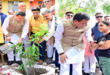 Uttarakhand News: “एक पेड़ मां के नाम” अभियान में शामिल हुए सीएम धामी, रुद्राक्ष का पौधा लगाकर दिया पर्यावरण संरक्षण का संदेश….