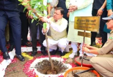 Uttarakhand News:“एक पेड़ मां के नाम” बना जनआंदोलन, हरेला पर्व को मिला नया संदेश: मुख्यमंत्री पुष्कर सिंह धामी…