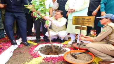 Uttarakhand News: उत्तराखंड में हरेला पर्व पर राज्यव्यापी पौधारोपण अभियान, मुख्यमंत्री धामी ने रुद्राक्ष का पौधा रोपा…
