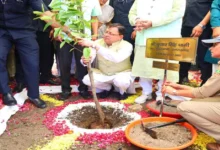 Uttarakhand News: उत्तराखंड में हरेला पर्व पर राज्यव्यापी पौधारोपण अभियान, मुख्यमंत्री धामी ने रुद्राक्ष का पौधा रोपा…