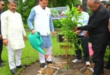 ‘एक पेड़ माँ के नाम’ अभियान: सीएम धामी ने किया पौधरोपण, पर्यावरण संरक्षण में जनसहभागिता का दिया संदेश….