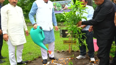 ‘एक पेड़ माँ के नाम’ अभियान: सीएम धामी ने किया पौधरोपण, पर्यावरण संरक्षण में जनसहभागिता का दिया संदेश….
