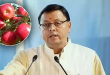 उत्तराखण्ड में सेब उत्पादकों को सीएम धामी का समर्थन, बेहतर पैकेजिंग हेतु यूनिवर्सल कार्टन का वितरण शुरू…