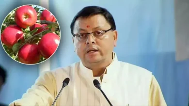 उत्तराखण्ड में सेब उत्पादकों को सीएम धामी का समर्थन, बेहतर पैकेजिंग हेतु यूनिवर्सल कार्टन का वितरण शुरू…