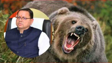 Uttarakhand News: देवभूमि में भालू का आतंक: CM धामी ने दिए कड़े निर्देश, प्रभावित क्षेत्रों में बढ़ाई जाएगी गश्त….
