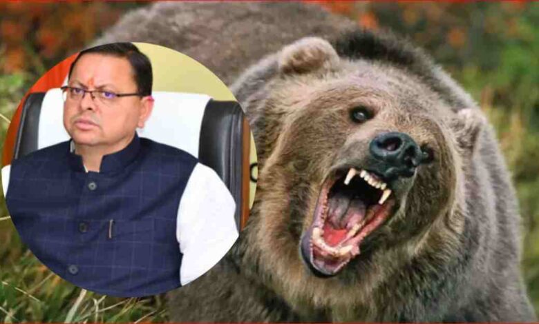 Uttarakhand News: देवभूमि में भालू का आतंक: CM धामी ने दिए कड़े निर्देश, प्रभावित क्षेत्रों में बढ़ाई जाएगी गश्त….