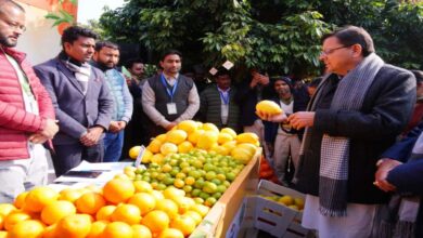 Uttarakhand News: मुख्यमंत्री पुष्कर सिंह धामी ने किया उत्तराखण्ड माल्टा महोत्सव का शुभारंभ, राज्य में ‘माल्टा मिशन’ की घोषणा — दिल्ली में भी होगा आयोजन….