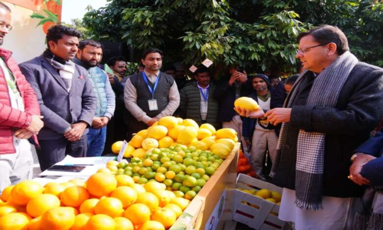 Uttarakhand News: मुख्यमंत्री पुष्कर सिंह धामी ने किया उत्तराखण्ड माल्टा महोत्सव का शुभारंभ, राज्य में ‘माल्टा मिशन’ की घोषणा — दिल्ली में भी होगा आयोजन….