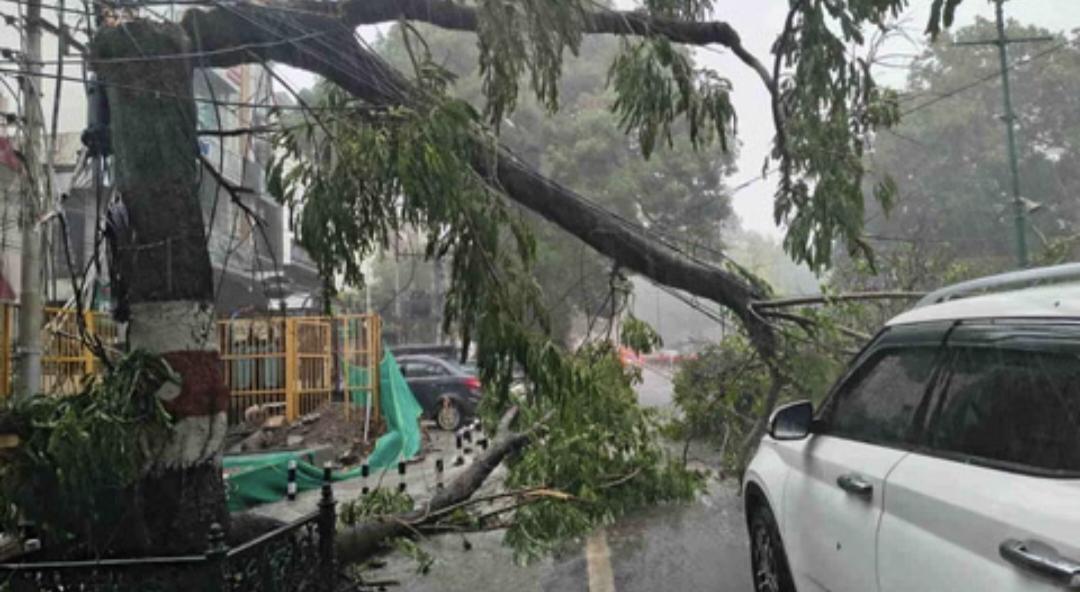 Dehardun Weather: मौसम ने दिखाए तीन रंग…डराया, सताया फिर दी राहत, झमाझम बारिश, तेज आंधी-तूफान से गिरे पेड़ Dehardun Weather: मौसम ने दिखाए तीन रंग…डराया, सताया फिर दी राहत, झमाझम बारिश, तेज आंधी-तूफान से गिरे पेड़