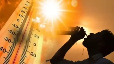 देहरादून समेत कई जिलों में गर्मी का कहर, IMD ने जारी किया लू का अलर्ट