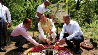 Dehradun: मुख्यमंत्री आवास में 3 बी गार्डन का निर्माण कार्य शुरू, सीएम धामी ने रोपा कृष्णा वट का पौधा Dehradun: मुख्यमंत्री आवास में 3 बी गार्डन का निर्माण कार्य शुरू, सीएम धामी ने रोपा कृष्णा वट का पौधा