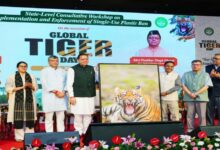 Uttarakhand News- विश्व बाघ दिवस: CM धामी ने दिया बड़ा संदेश, बोले- ‘जंगल बचेंगे तो बाघ बचेंगे’, प्लास्टिक के खिलाफ छेड़ी मुहिम…