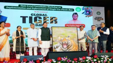 Uttarakhand News- विश्व बाघ दिवस: CM धामी ने दिया बड़ा संदेश, बोले- ‘जंगल बचेंगे तो बाघ बचेंगे’, प्लास्टिक के खिलाफ छेड़ी मुहिम…