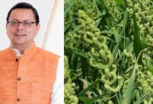 Uttarakhand News: CM धामी का बड़ा दावा: कहा नहीं, करके दिखाया… उत्तराखंड में लागू की स्टेट मिलेट पॉलिसी…..