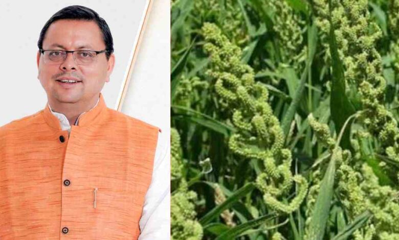 Uttarakhand News: CM धामी का बड़ा दावा: कहा नहीं, करके दिखाया… उत्तराखंड में लागू की स्टेट मिलेट पॉलिसी…..