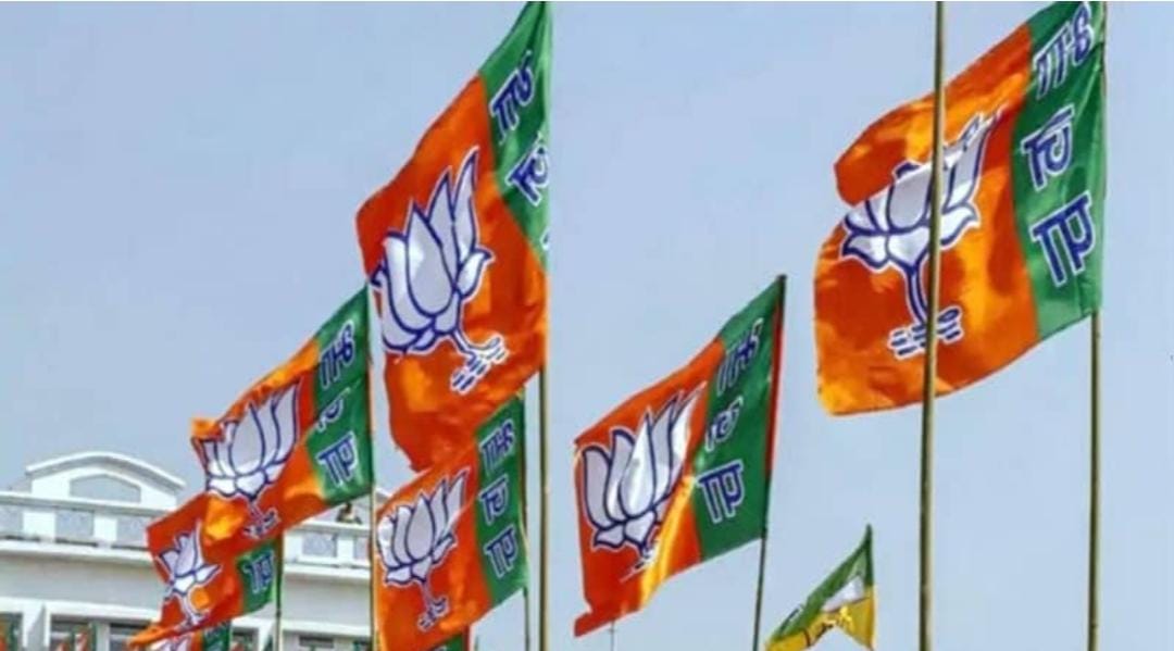 गांवों में जनसेवा और संवाद को धार देगा भाजपा का एनजीओ प्रकोष्ठ, हर रविवार चलेगा अभियान