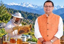 80% सब्सिडी से पहाड़ में बढ़ी ‘मीठी क्रांति’, मधुमक्खी पालन से किसानों की बढ़ी कमाई 80% सब्सिडी से पहाड़ में बढ़ी ‘मीठी क्रांति’, मधुमक्खी पालन से किसानों की बढ़ी कमाई