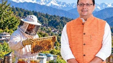 80% सब्सिडी से पहाड़ में बढ़ी ‘मीठी क्रांति’, मधुमक्खी पालन से किसानों की बढ़ी कमाई