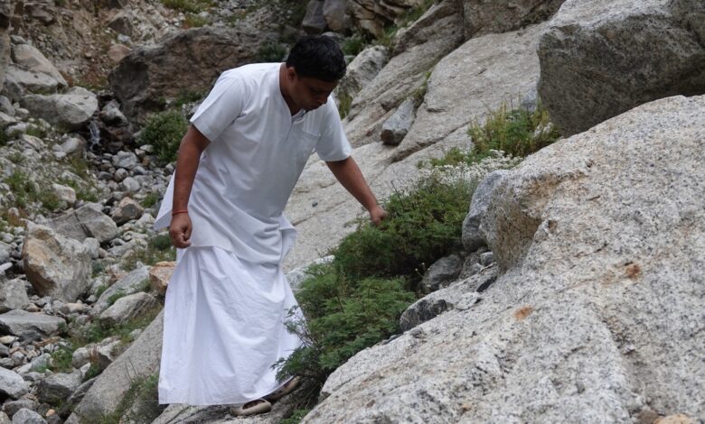 राष्ट्रपति भवन के 620 पौधों का भी रिकॉर्ड, पतंजलि ने संरक्षित किए 27 हजार से ज्यादा पादप नमूने। राष्ट्रपति भवन के 620 पौधों का भी रिकॉर्ड, पतंजलि ने संरक्षित किए 27 हजार से ज्यादा पादप नमूने।