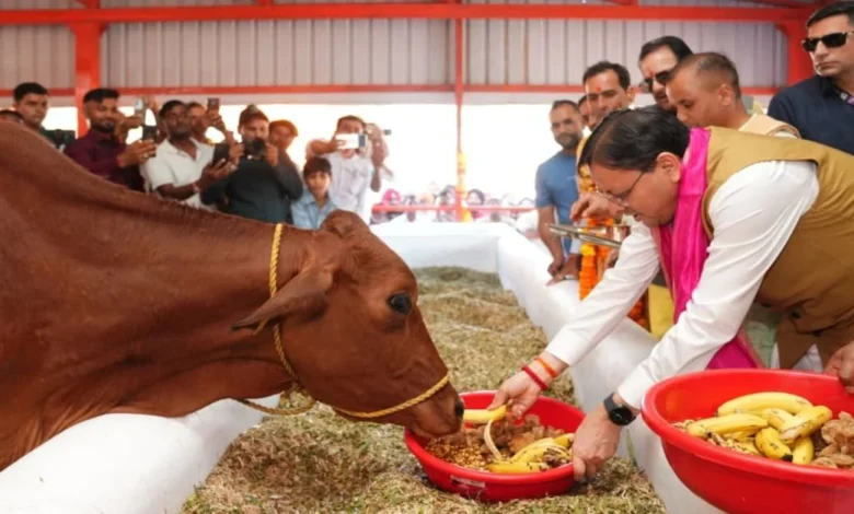 Uttarakhand News: खटीमा में विकास का डबल डोज! गौशाला का लोकार्पण, 108.84 करोड़ की 15 योजनाओं का शिलान्यास; 34.44 करोड़ से सड़क का होगा कायाकल्प….